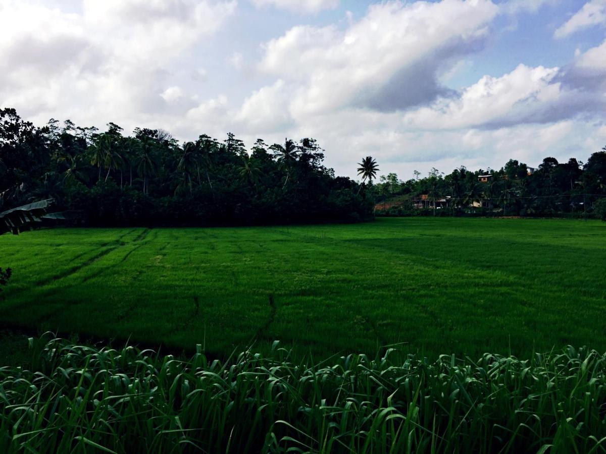 Thaaru Guest Bed and Breakfast Mirissa Buitenkant foto