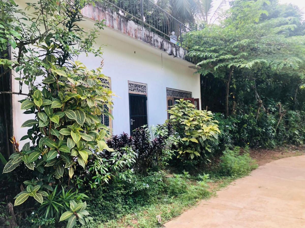 Thaaru Guest Bed and Breakfast Mirissa Buitenkant foto